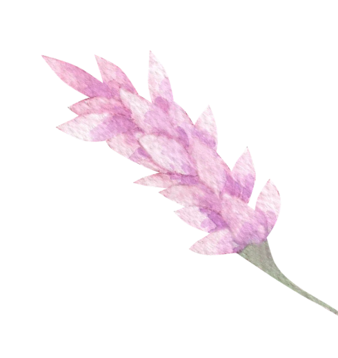 mission-flower